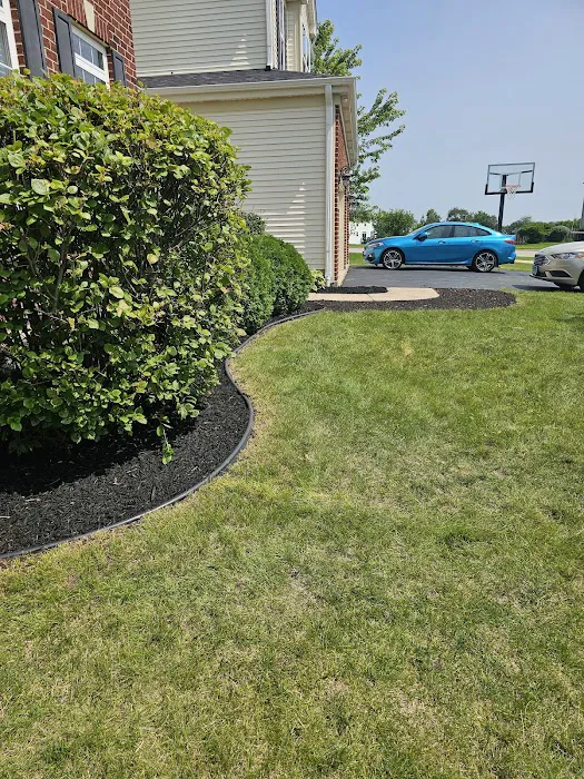 Express Lawn Care & Landscaping Picture 2