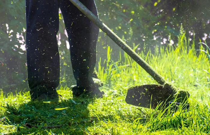 Express Lawn Care & Landscaping Picture 9