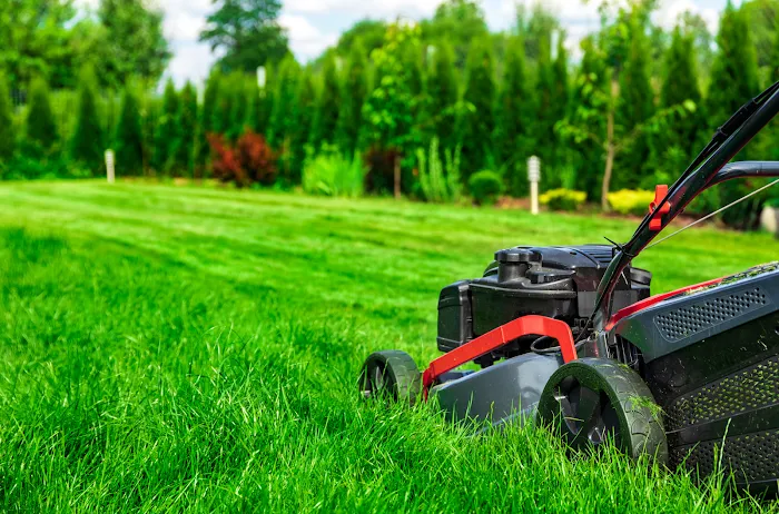 Express Lawn Care & Landscaping Picture 4