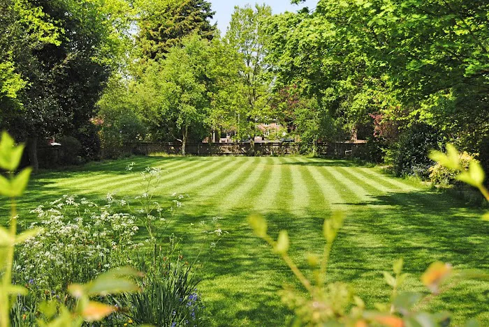 Express Lawn Care & Landscaping Picture 5