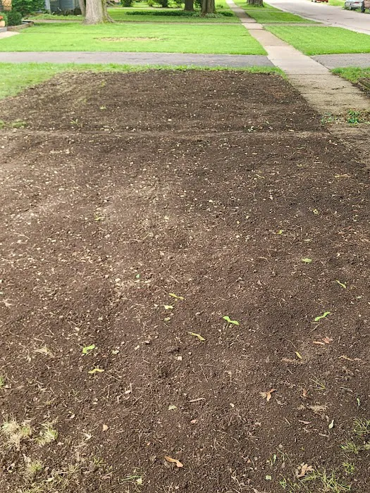Foxcroft Meadows Sod Picture 3