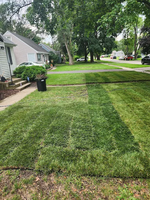 Foxcroft Meadows Sod Picture 5