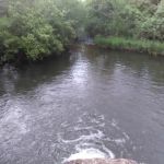 Covers Nursery & Landscaping