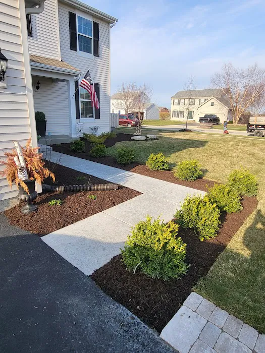 Martin's Landscaping & Tree service Picture 5