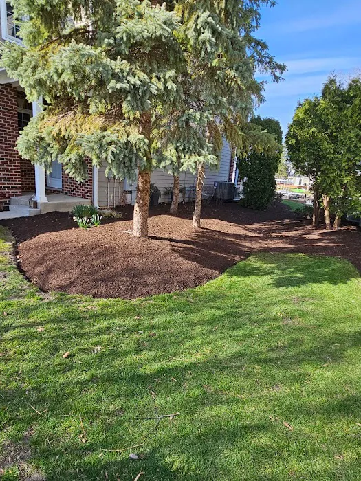 Verdes Landscaping Picture 2