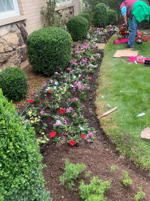 Verdes Landscaping Picture 5