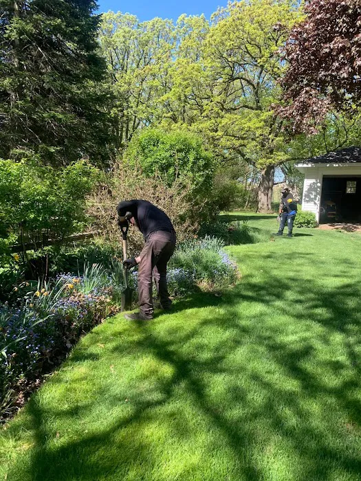 Verdes Landscaping Picture 6