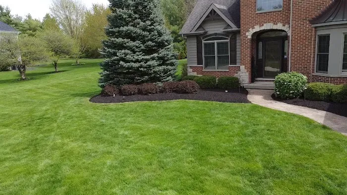 J&C Brothers Landscaping And Services Picture 4