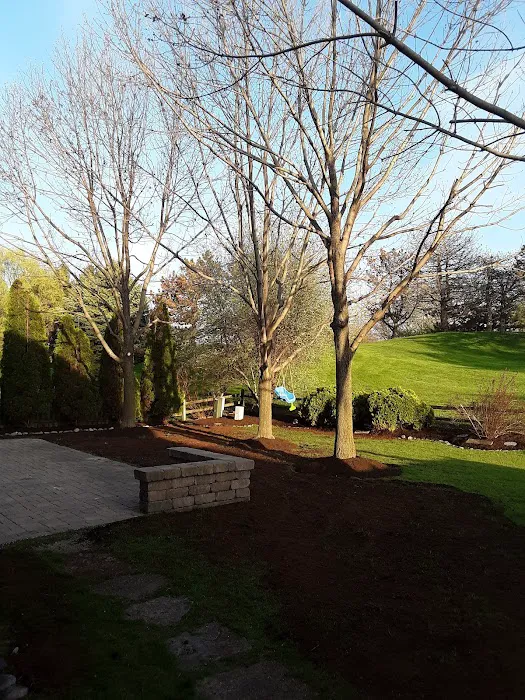 SORIA LANDSCAPING Picture 7