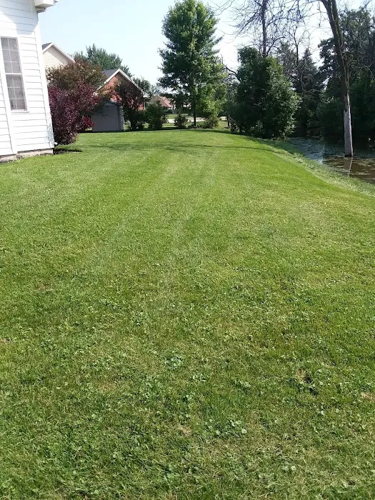 SORIA LANDSCAPING Picture 3