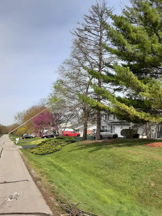 SORIA LANDSCAPING Picture 1