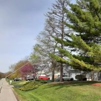 SORIA LANDSCAPING ico