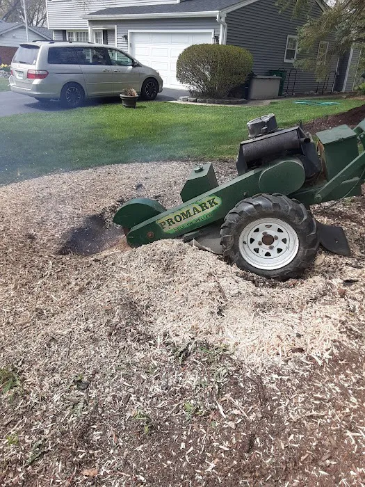 SORIA LANDSCAPING Picture 5