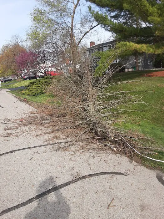 SORIA LANDSCAPING Picture 10