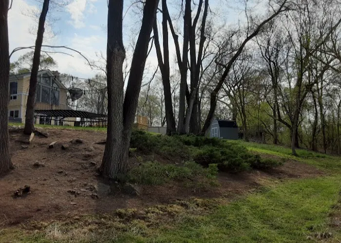 Acosta & Son's Lawn & Garden Maintenance LLC Picture 3