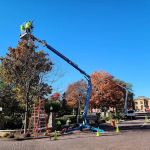 Balanced Environments, LLC.