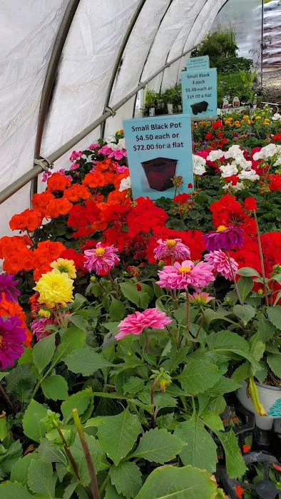 T & R Garden Center and Gift Shop Picture 9