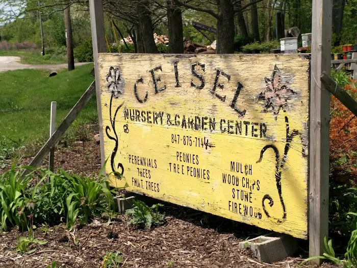 Ceisel Landscaping Design Inc. Picture 2