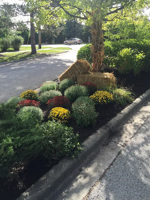 Corona's Landscaping Picture 3