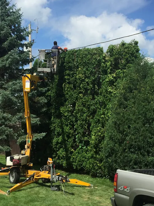 Corona's Landscaping Picture 4