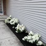 Tamayo landsacaping & brick patios