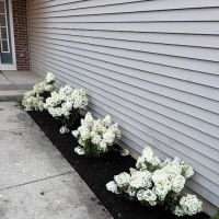 Tamayo landsacaping & brick patios ico
