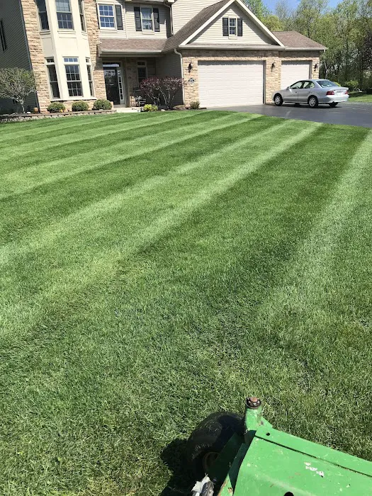 Grow N Mow Landscaping Picture 6