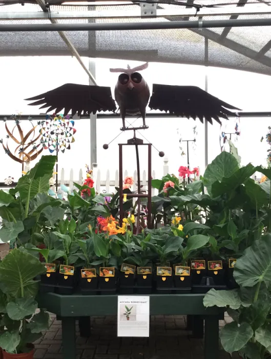 Tholens' Landscape & Garden Center Picture 5