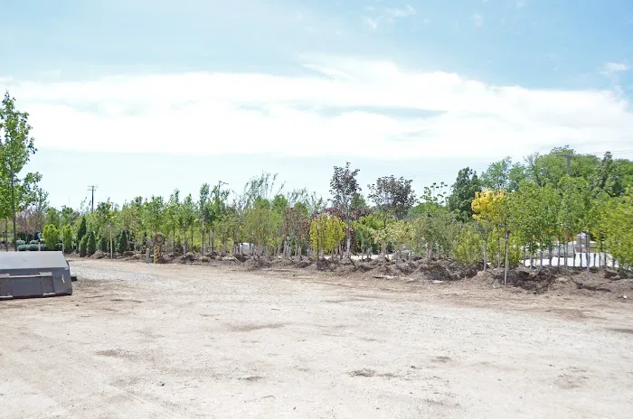 Tholens' Landscape & Garden Center Picture 3