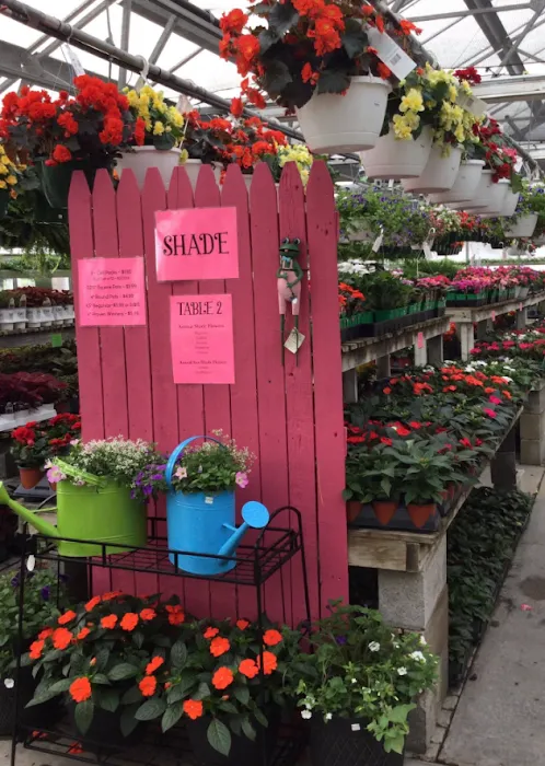 Tholens' Landscape & Garden Center Picture 9