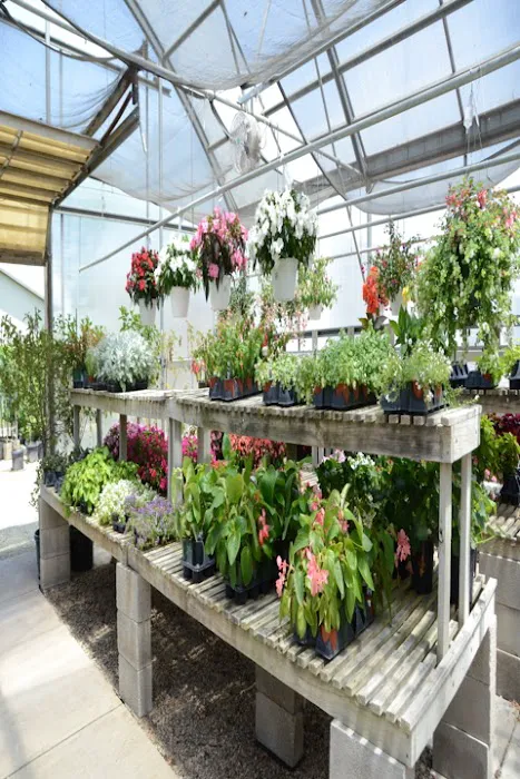 Tholens' Landscape & Garden Center Picture 7