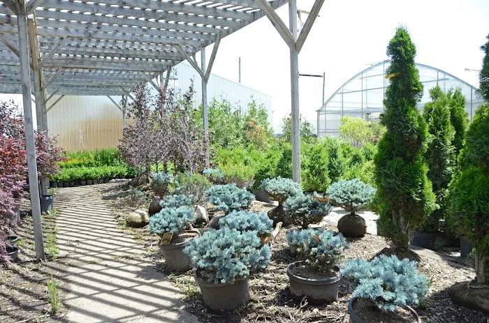 Tholens' Landscape & Garden Center Picture 8