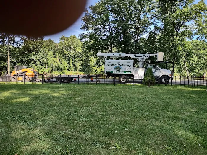 Quality Tree Care & Landscape Picture 6