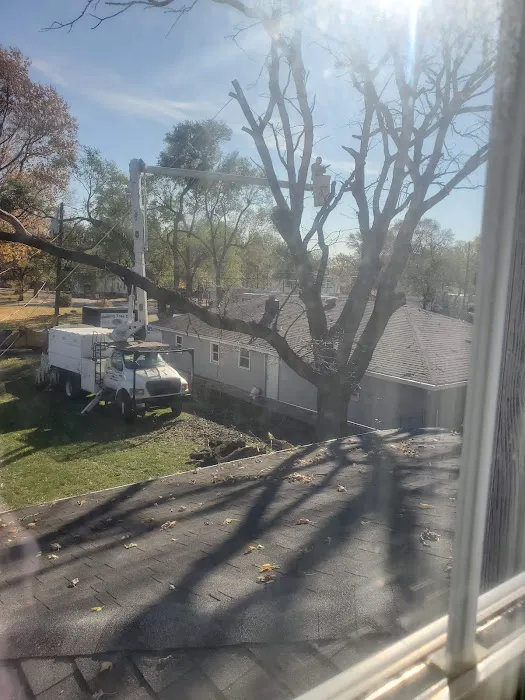 Quality Tree Care & Landscape Picture 3