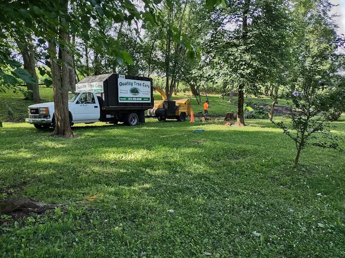 Quality Tree Care & Landscape Picture 4