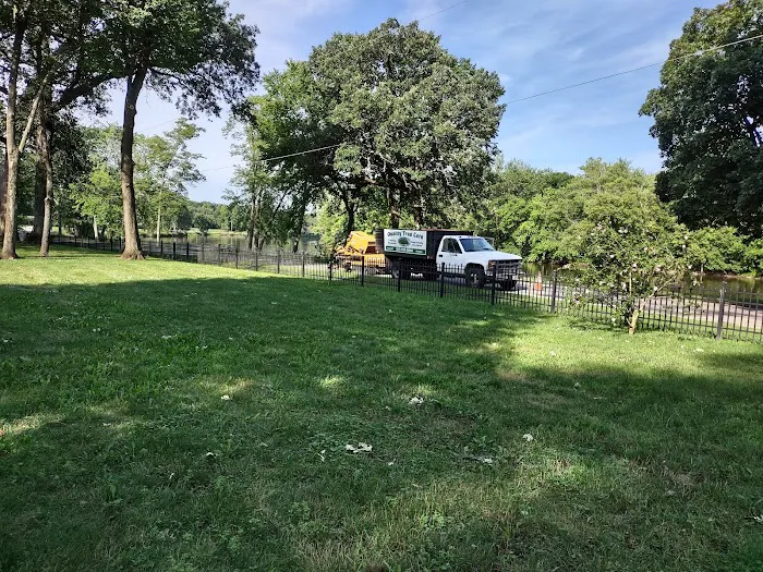 Quality Tree Care & Landscape Picture 2