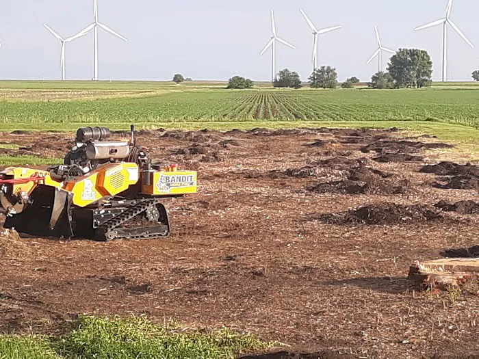 Quality Tree Care & Landscape Picture 5
