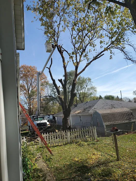 Quality Tree Care & Landscape Picture 1