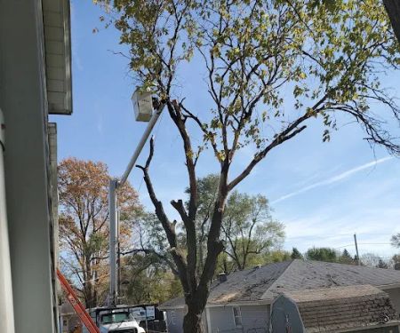 Quality Tree Care & Landscape