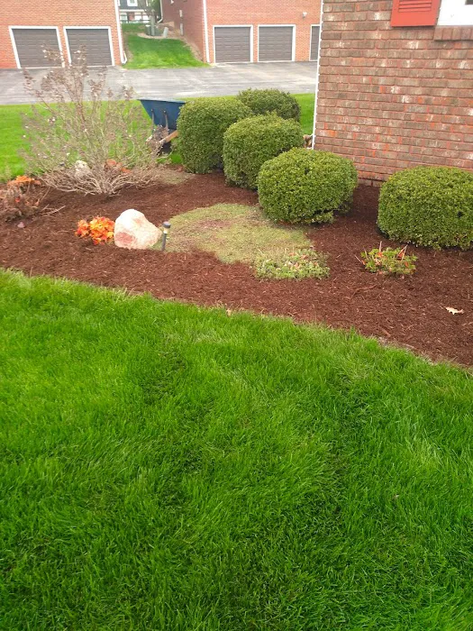 R&D lawn landscaping and Snow removal LLC Picture 2