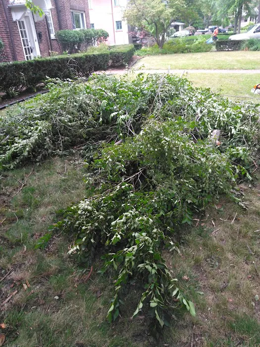 R&D lawn landscaping and Snow removal LLC Picture 1