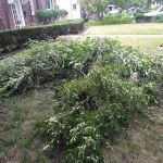 R&D lawn landscaping and Snow removal LLC