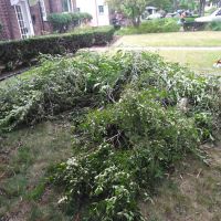 R&D lawn landscaping and Snow removal LLC ico