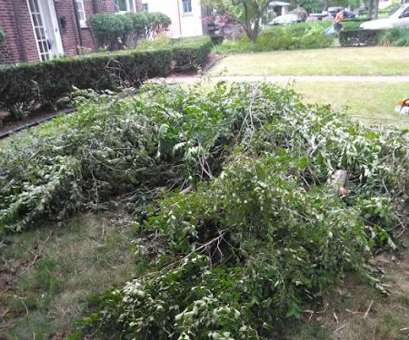 R&D lawn landscaping and Snow removal LLC