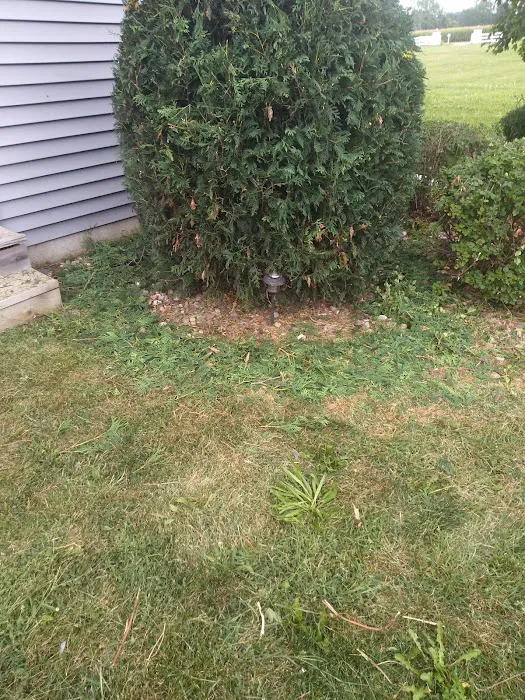 R&D lawn landscaping and Snow removal LLC Picture 5