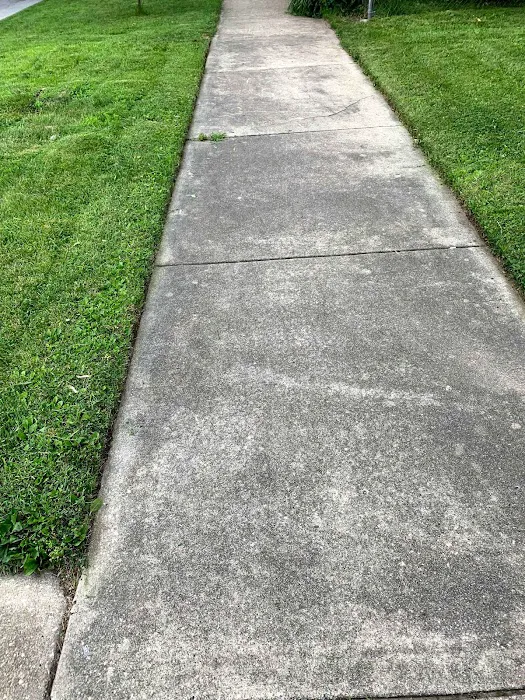 R&D lawn landscaping and Snow removal LLC Picture 10
