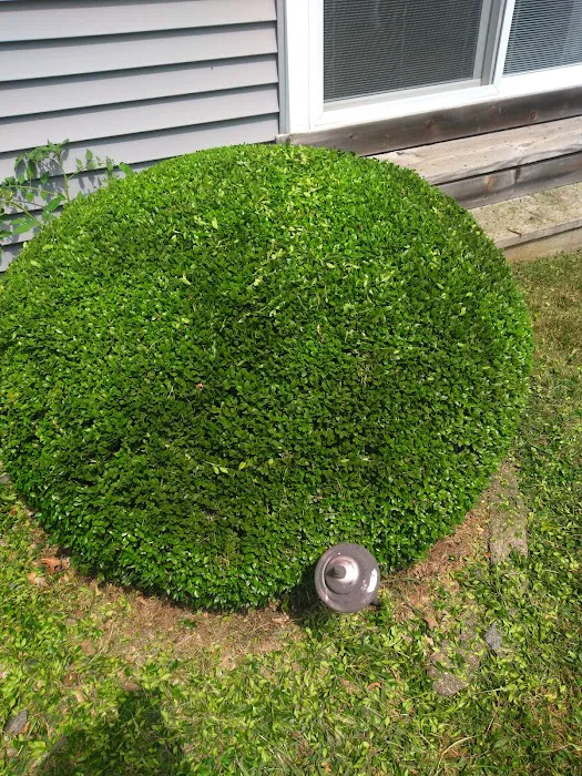 R&D lawn landscaping and Snow removal LLC Picture 6