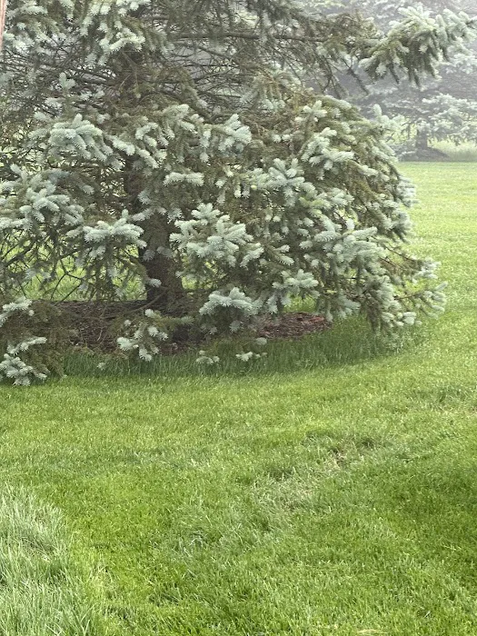 Nature Cuts, Inc. Picture 6