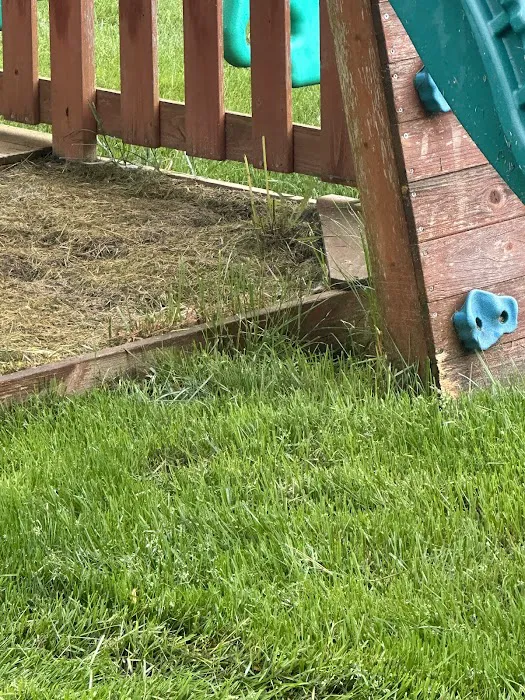 Nature Cuts, Inc. Picture 2