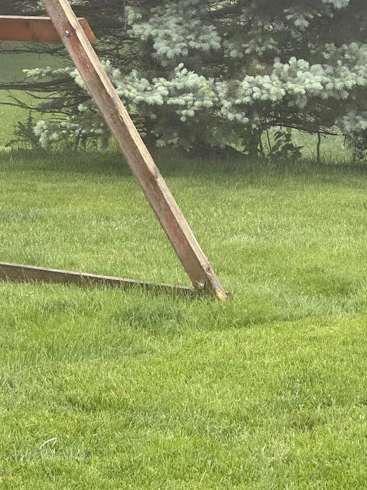Nature Cuts, Inc. Picture 10